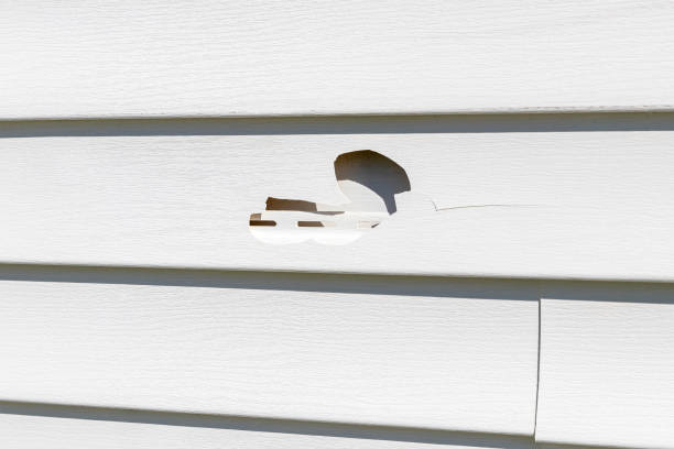 Moving and Downsizing Cleanouts in Moorefield, WV